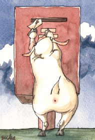 はまのゆか:デビュー前、作家・村上龍氏にファンレターとともに渡したイラストの一部。