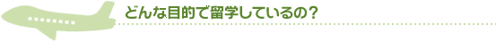 どんな目的で留学しているの？