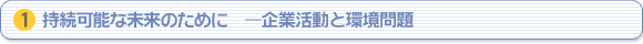 （1）持続可能な未来のために ―企業活動と環境問題