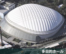スポーツ施設・多目的ホール（ドーム）